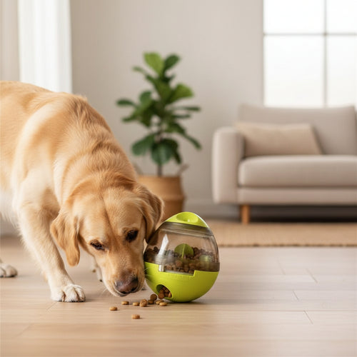 Pelota huevo dispensadora de comida interactiva para perros y gatos